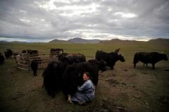 D Poze Din Mongolia 31