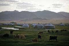 D Poze Din Mongolia 09