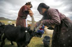 D Poze Din Mongolia 32